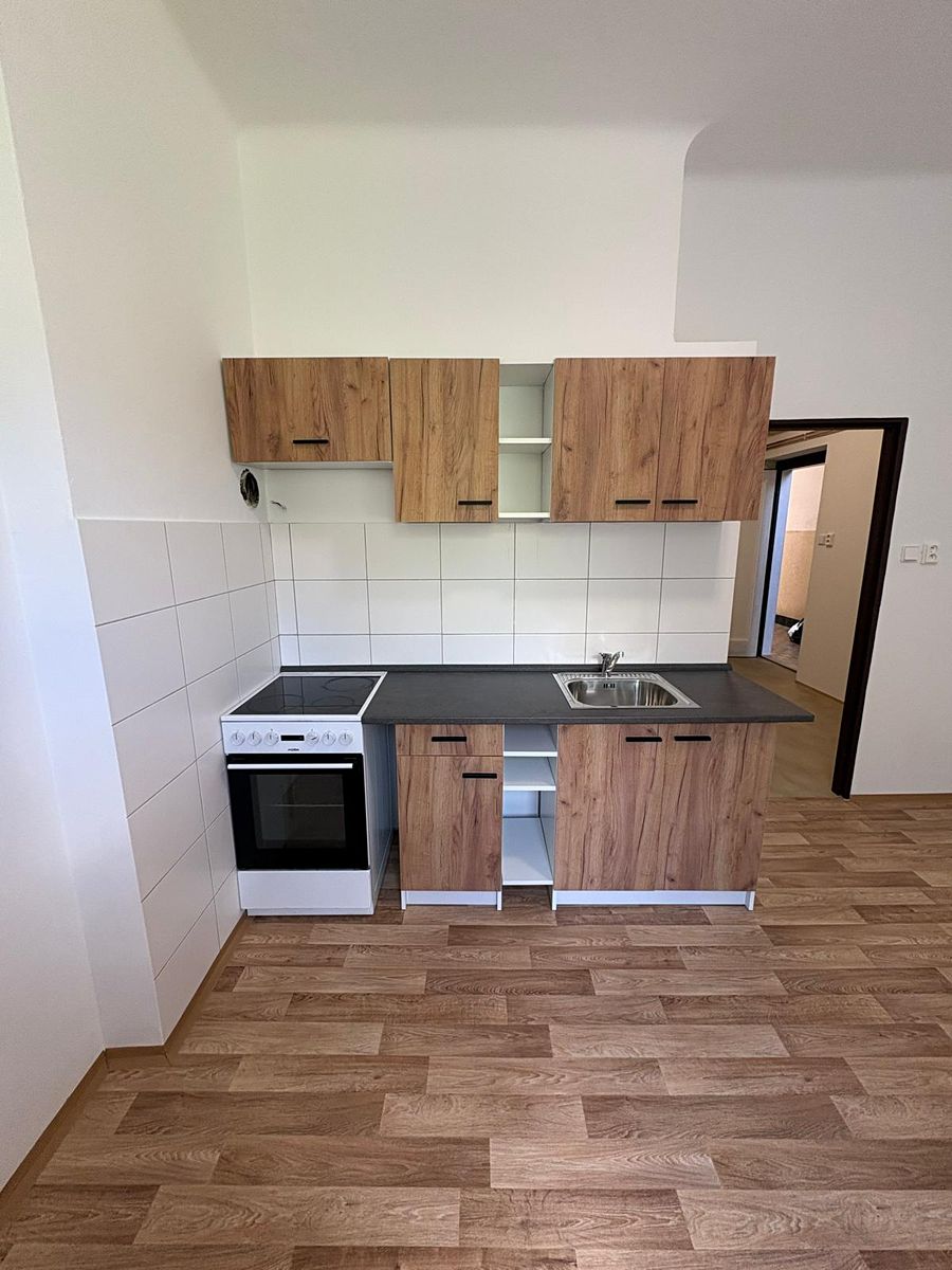 Pronájem bytu 1+1 45 m²