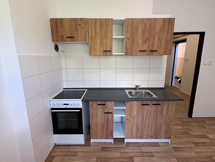 Квартира 1+1 в оренду, 45 м² (1 з 9)