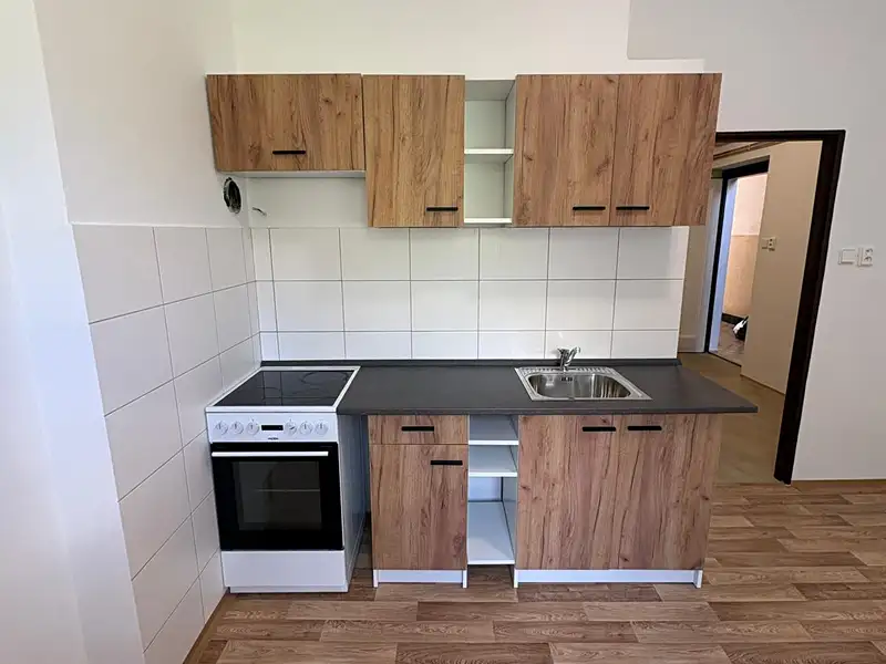 Pronájem bytu 1+1 45 m², Písek – náhled fotky 1
