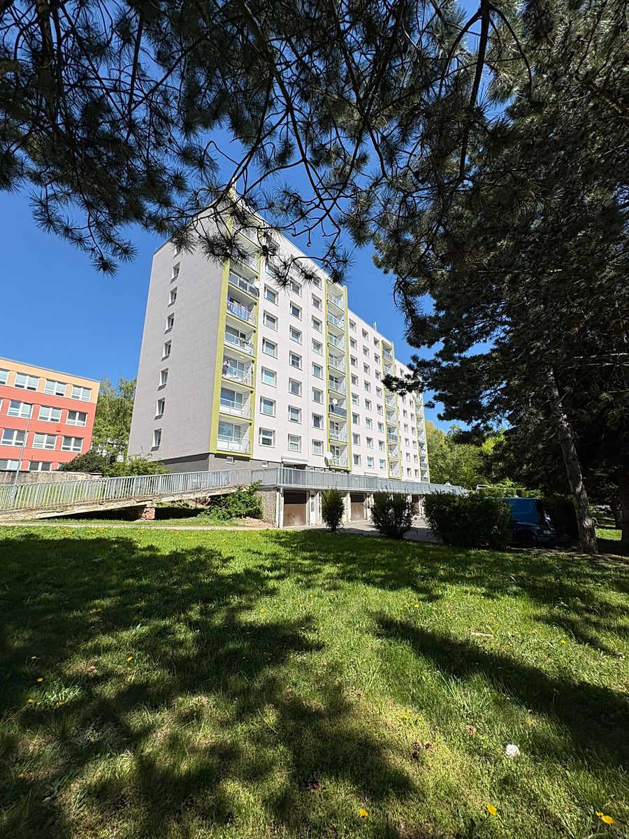 Pronájem bytu 1+1 38 m²
