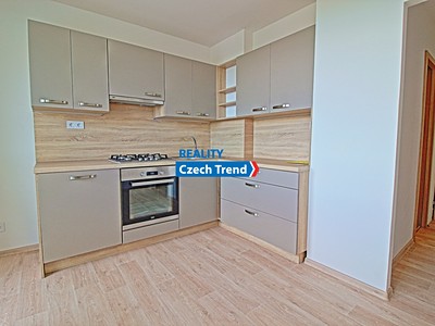 Pronájem bytu 1+1 39 m²