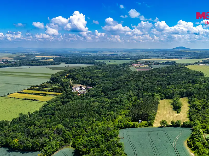 Prodej lesa 49399 m², Libochovice – náhled fotky 2