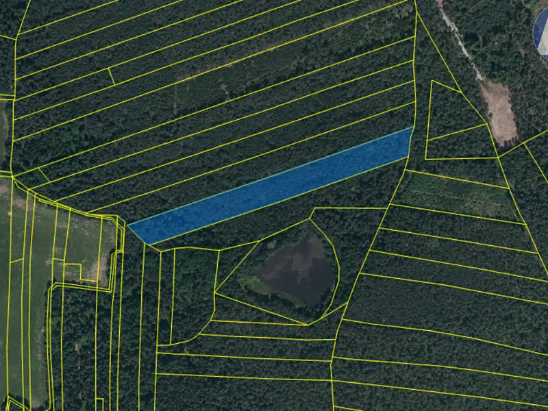 Prodej lesa 13103 m², Mladošovice – náhled fotky 2