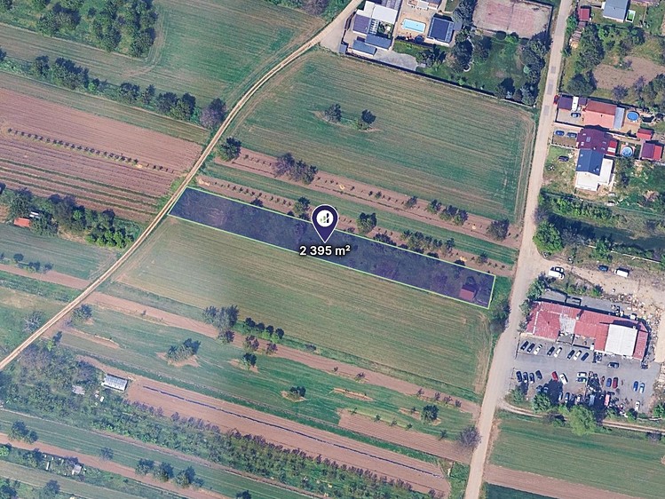 Ostatní