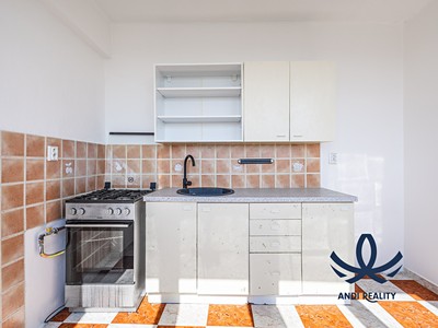 Prodej bytu 1+1 44 m²
