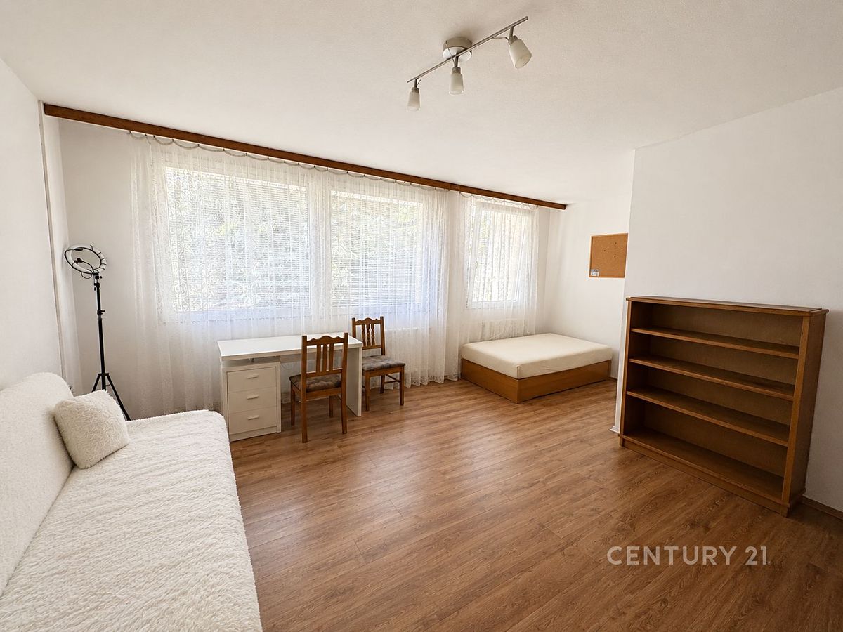 Pronájem bytu 3+1 121 m² – fotografie 4