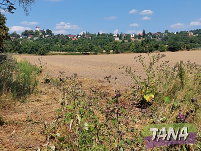 Prodej  pole 4 030 m²