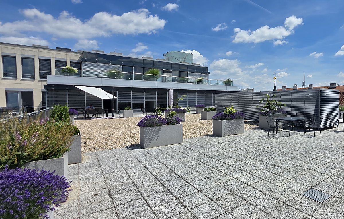 Pronájem kanceláře 769 m² – fotografie 3