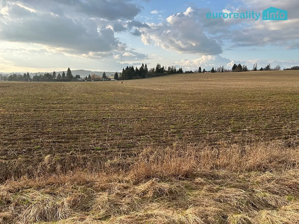 Prodej stavebního pozemku 10000 m²