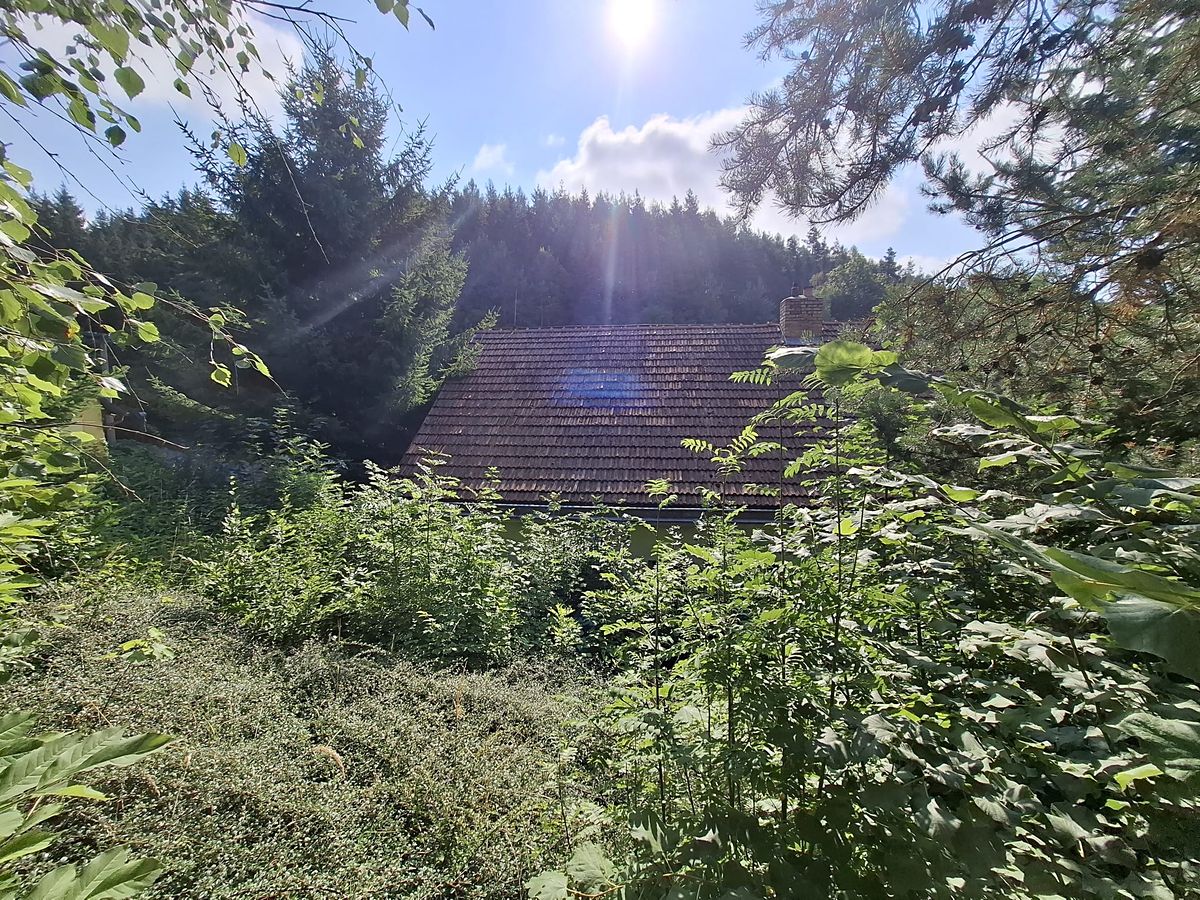 Prodej rodinného domu 150 m², pozemek 500 m² – fotografie 4