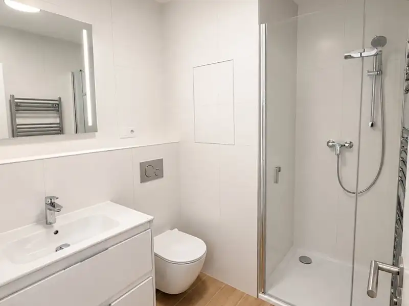 Pronájem bytu 1+kk 37 m², Plzeň – náhled fotky 3