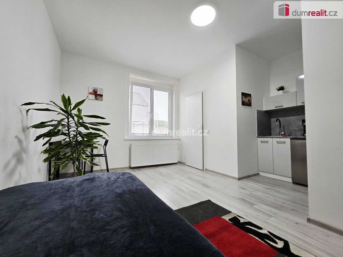 Pronájem bytu 1+kk 20 m² – fotografie 4