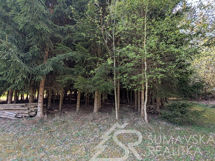 Prodej pozemku, 8 878 m² (14 z 18)