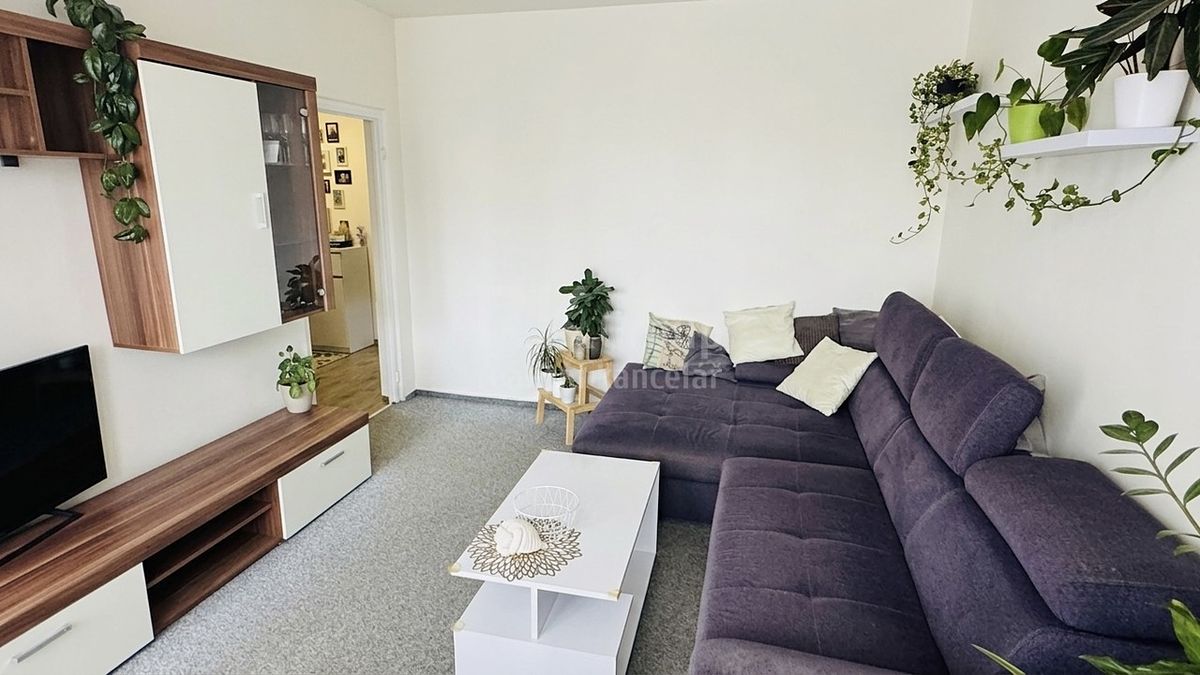 Prodej bytu 3+1 60 m²