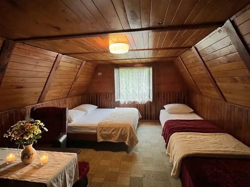 Prodej chaty 250 m², pozemek 329 m², Odry – náhled fotky 3