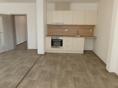 Pronájem bytu 1+1 46 m²