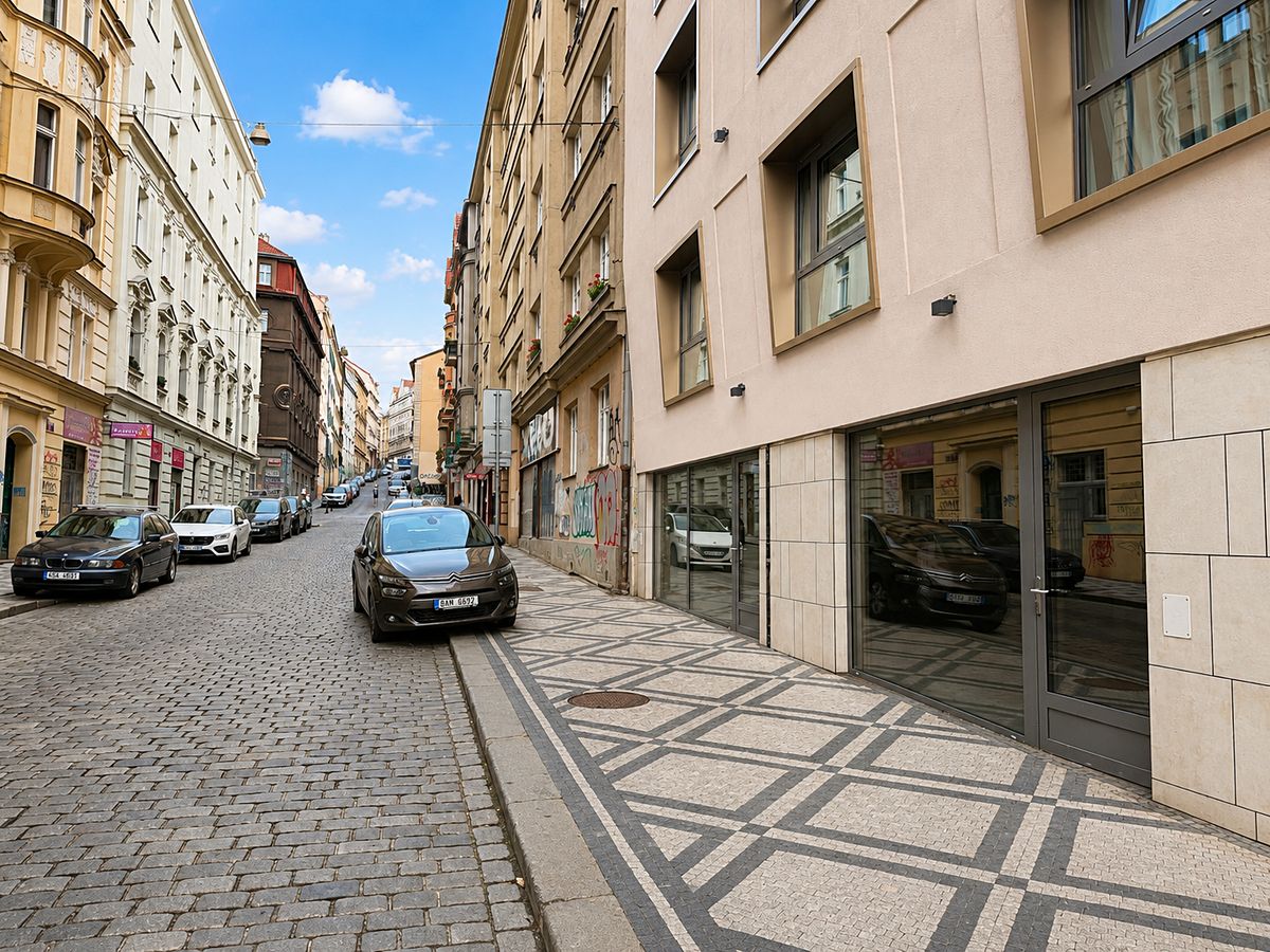 Pronájem obchodního prostoru 184 m² – fotografie 3