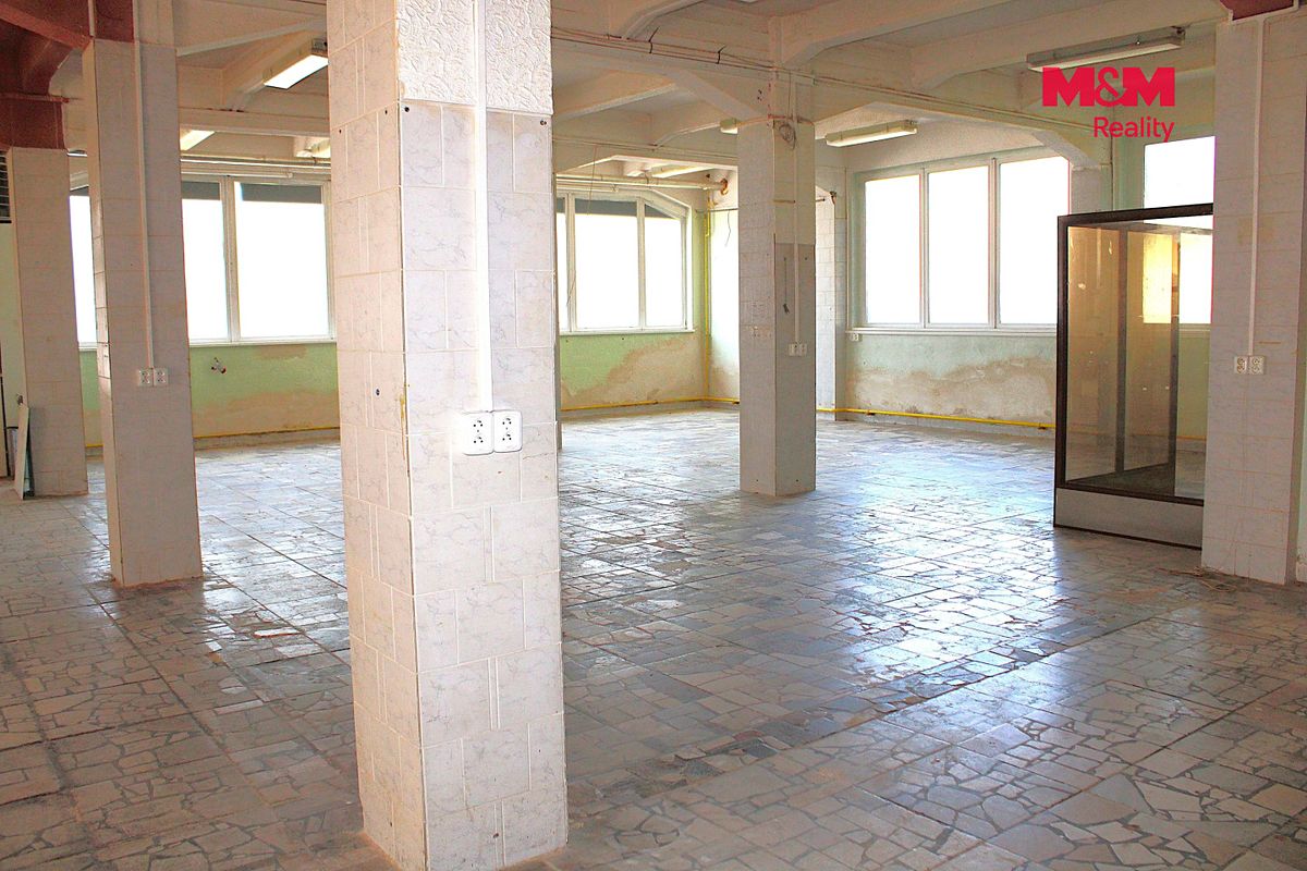 Pronájem obchodního prostoru 330 m² – fotografie 5