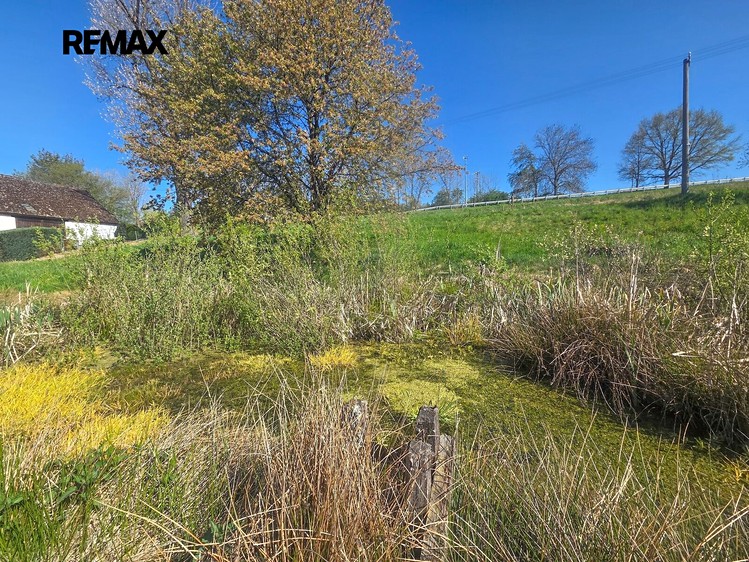 Grundstück zum Kauf, 1.696 m² (8 von 12)