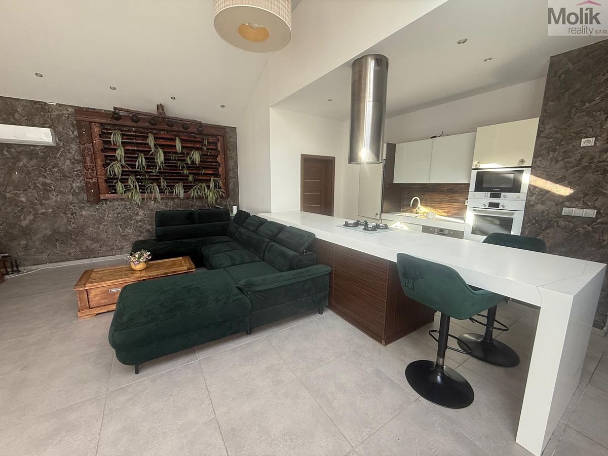 Pronájem rodinného domu 700 m², pozemek 768 m²