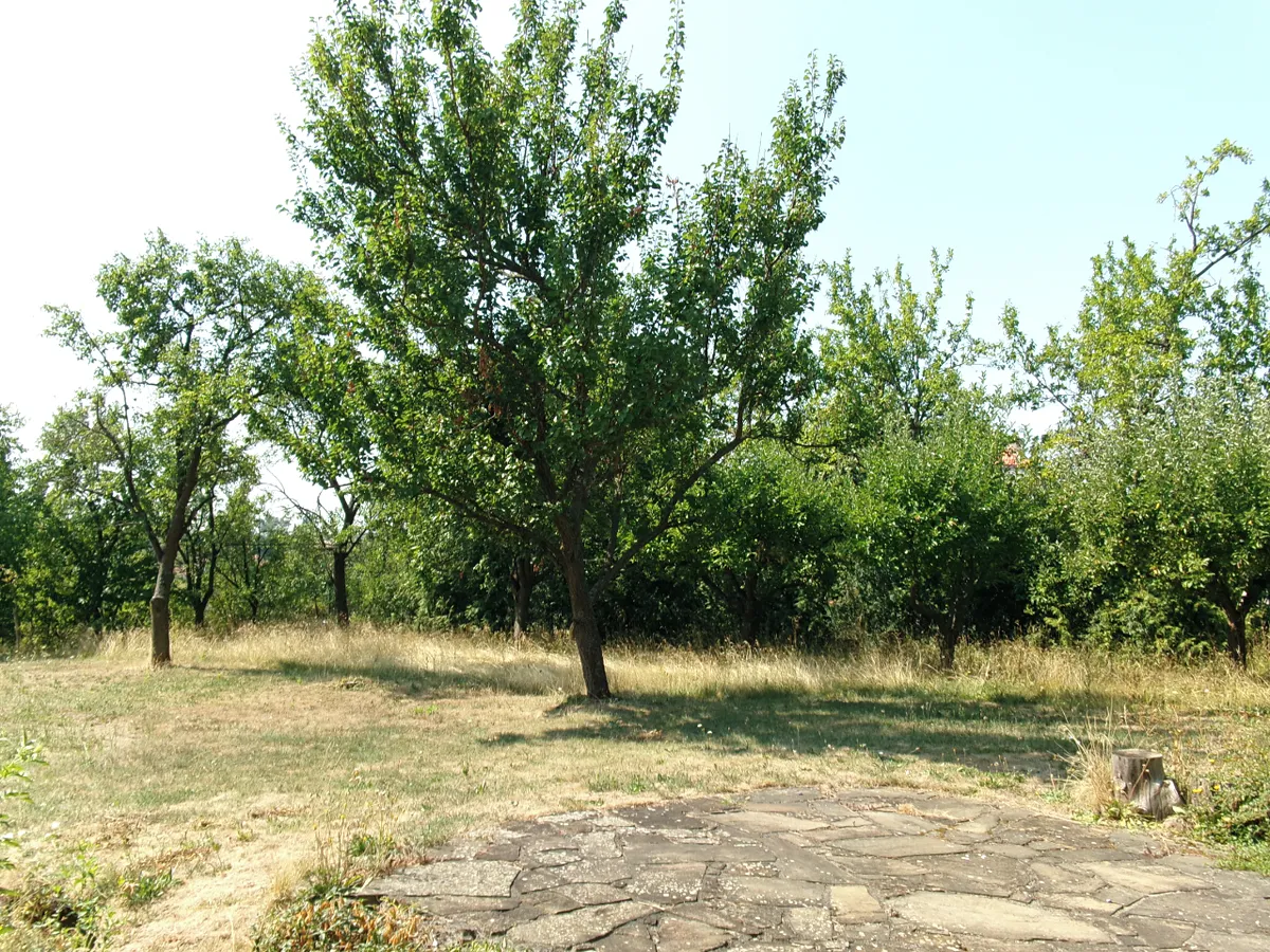 Fotka 16 z 30