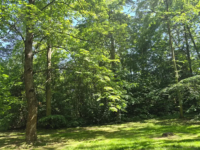 Prodej stavebního pozemku 1080 m², Plzeň – náhled fotky 1
