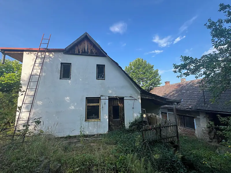 Prodej rodinného domu 250 m², pozemek 3975 m², Týnec nad Sázavou – náhled fotky 2