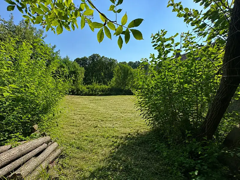 Prodej stavebního pozemku 2600 m², Mikulovice – náhled fotky 2