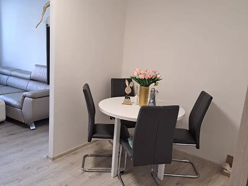 Prodej bytu 2+kk 43 m², Pardubice – náhled fotky 3