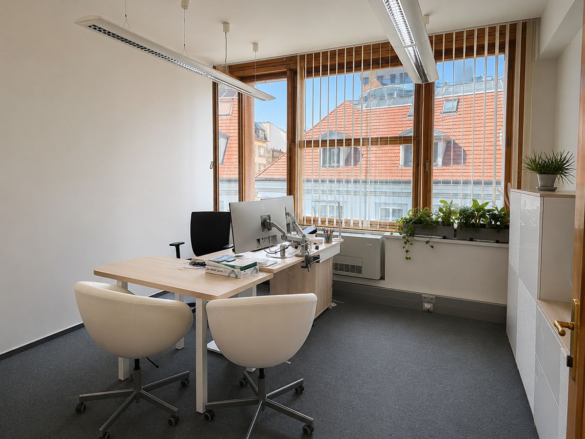 Pronájem kanceláře 596 m² – fotografie 4