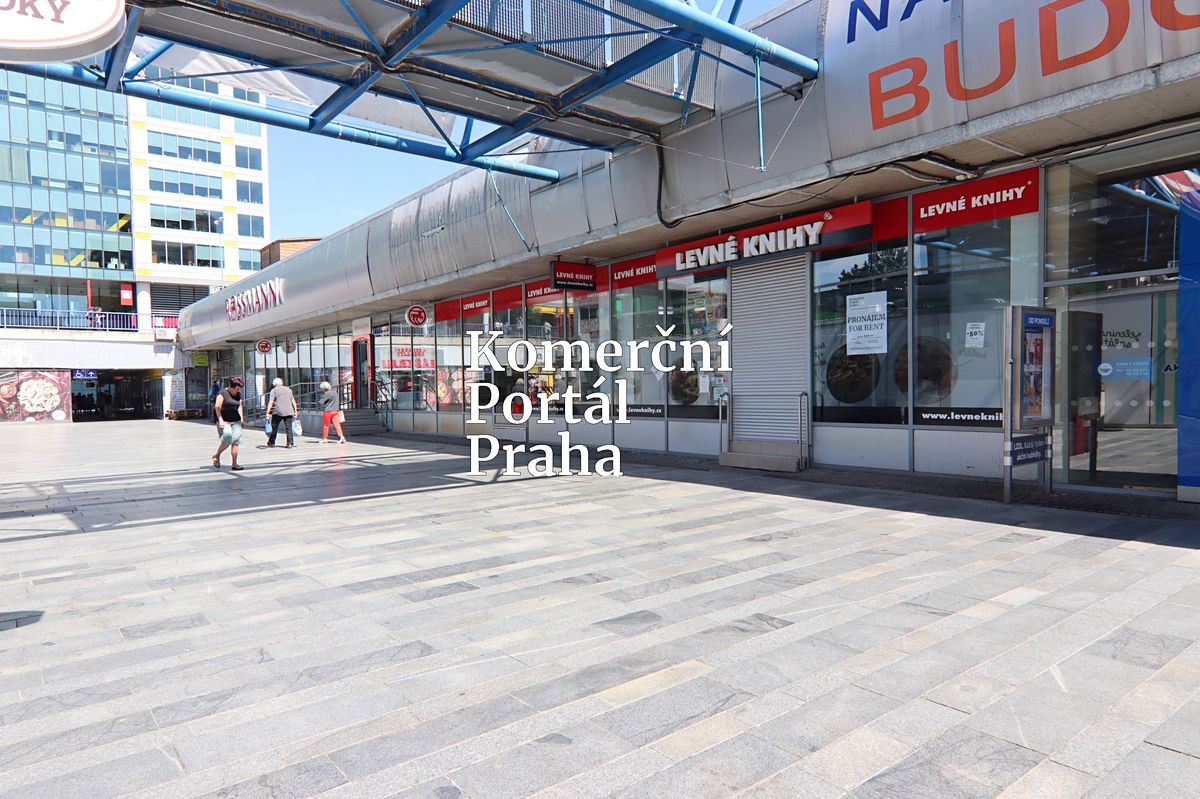 Pronájem obchodního prostoru 480 m² – fotografie 2