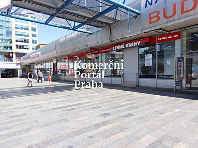Gewerbefläche zur Miete, 450 m² (2 von 18)