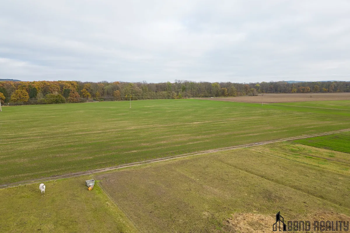 Prodej stavebního pozemku 3803 m² — fotografie 5