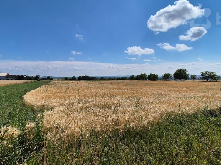 Ділянка на продаж, 1 035 м² (4 з 11)