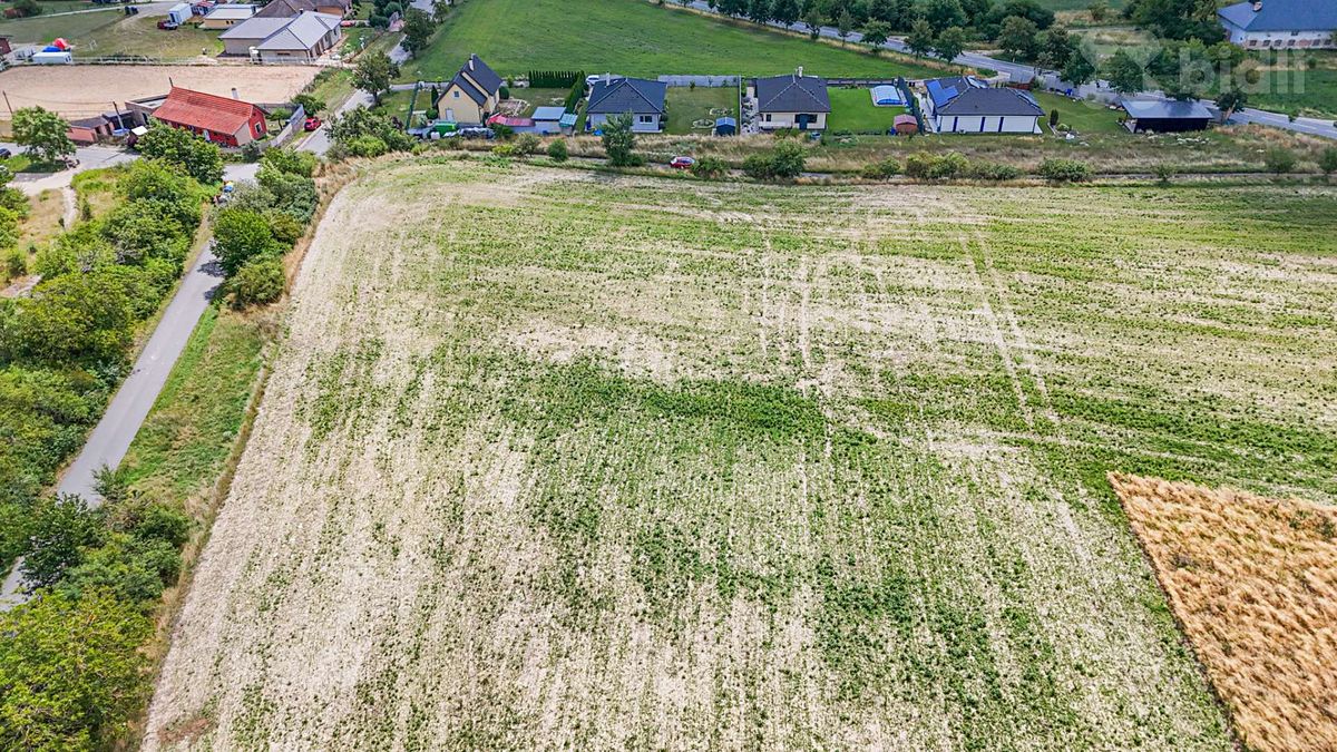 Prodej stavebního pozemku 4773 m² – fotografie 5