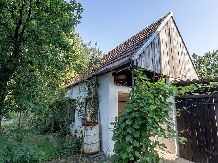 Starý zahradní domek s bílou omítkou, sedlovou střechou a porostem vinné révy.