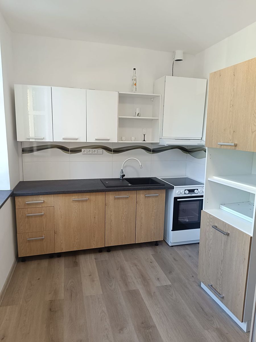 Pronájem bytu 1+1 42 m²