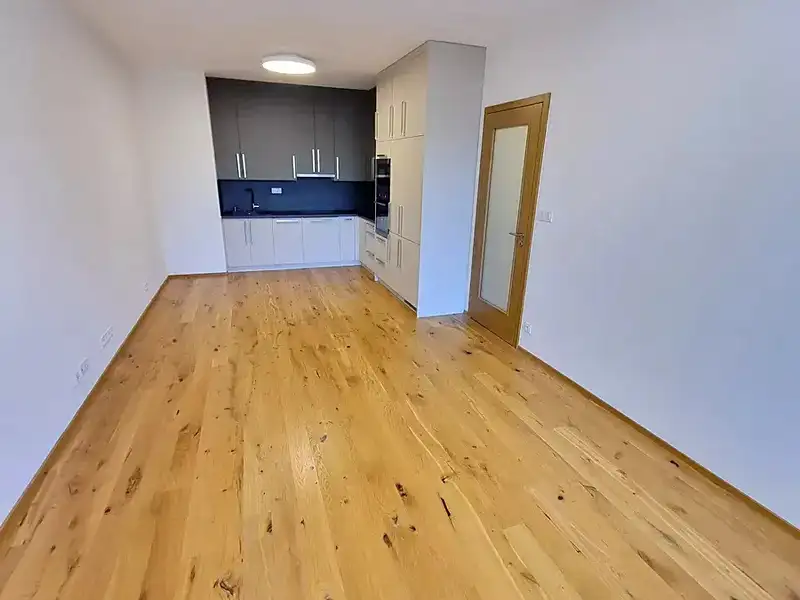 Pronájem bytu 2+kk 56 m², Praha – náhled fotky 3