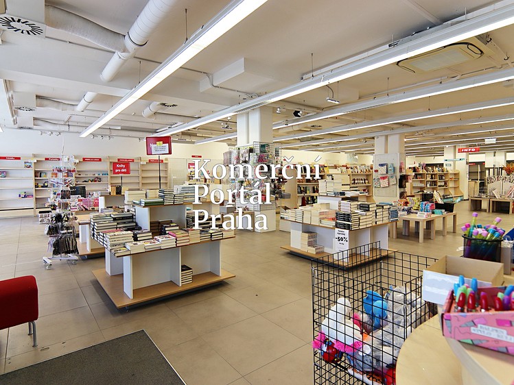 Gewerbefläche zur Miete, 450 m² (7 von 18)