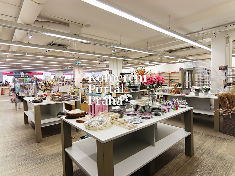 Gewerbefläche zur Miete, 450 m² (5 von 18)