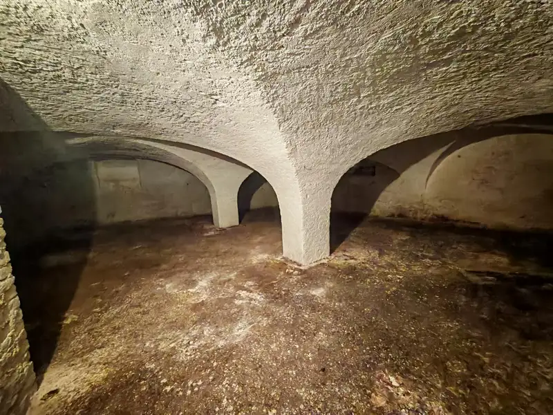 Prodej chalupy 399 m², pozemek 1019 m², Zaječice – náhled fotky 3