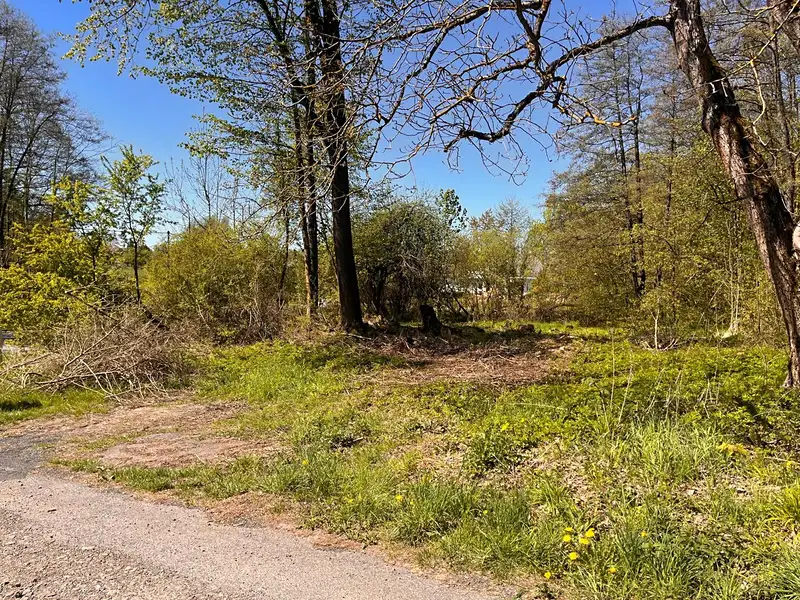 Prodej stavebního pozemku 8679 m², Křižany – náhled fotky 3