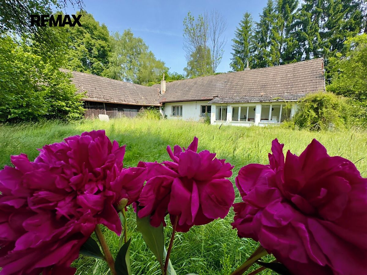 Prodej rodinného domu 100 m², pozemek 2638 m² – fotografie 2