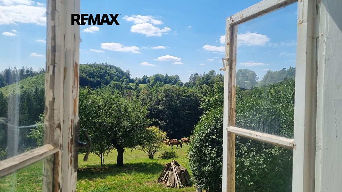 Prodej chalupy 164 m², pozemek 285345 m² – fotografie 2