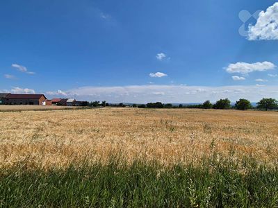 Prodej pole 773 m²