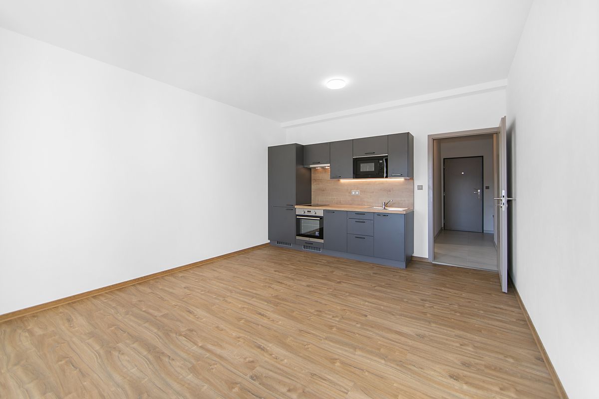 Pronájem bytu 1+kk 29 m² – fotografie 3
