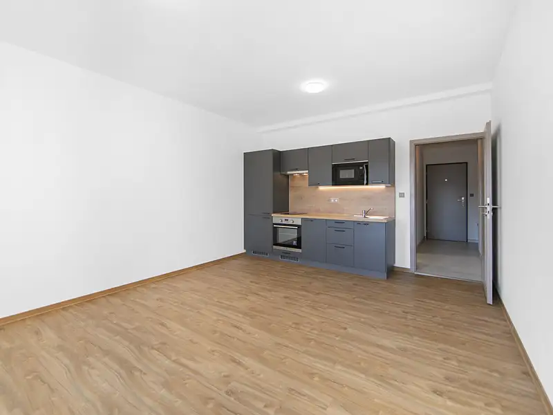 Pronájem bytu 1+kk 29 m², Zruč-Senec – náhled fotky 2