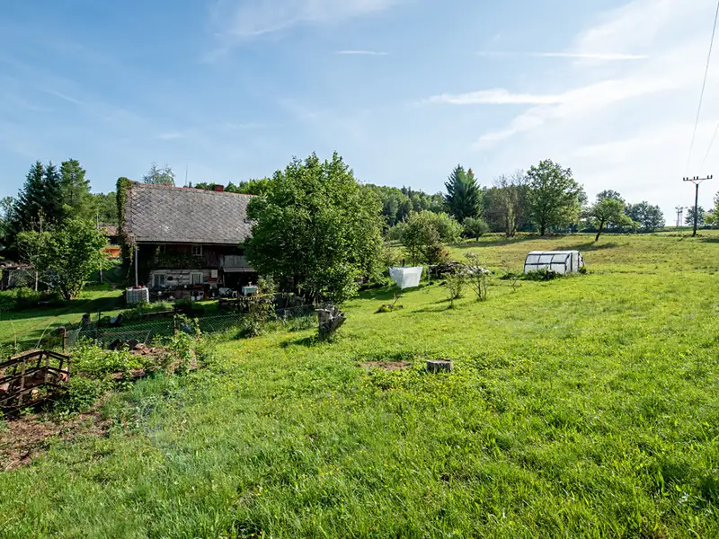Prodej stavebního pozemku 4767 m², Dubnice – náhled fotky 1