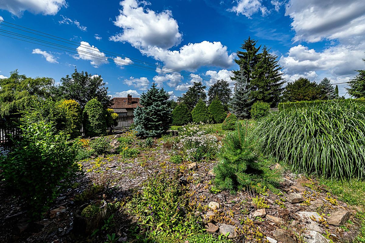 Prodej rodinného domu 130 m², pozemek 1038 m² – fotografie 4