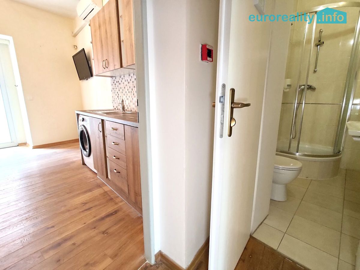 Pronájem bytu 4+kk 110 m² – fotografie 5